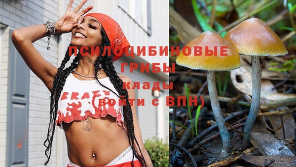ешки Армянск