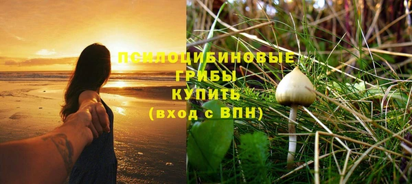 ешки Армянск