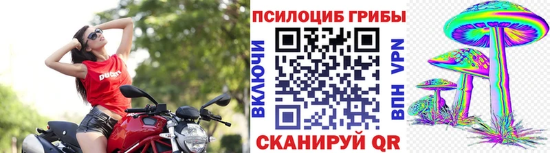 Купить  Суровикино  Галлюциногенные грибы MAGIC MUSHROOMS 